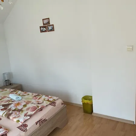 Renata Nová Lesná